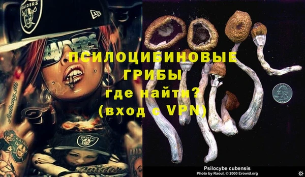 дурь Нефтегорск