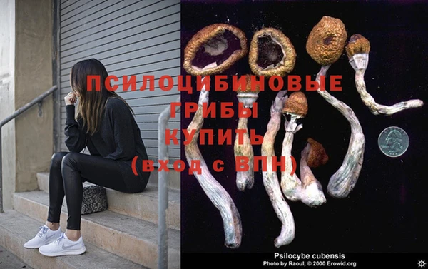 соль курить ск Новодвинск