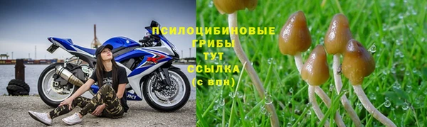 спиды Нея